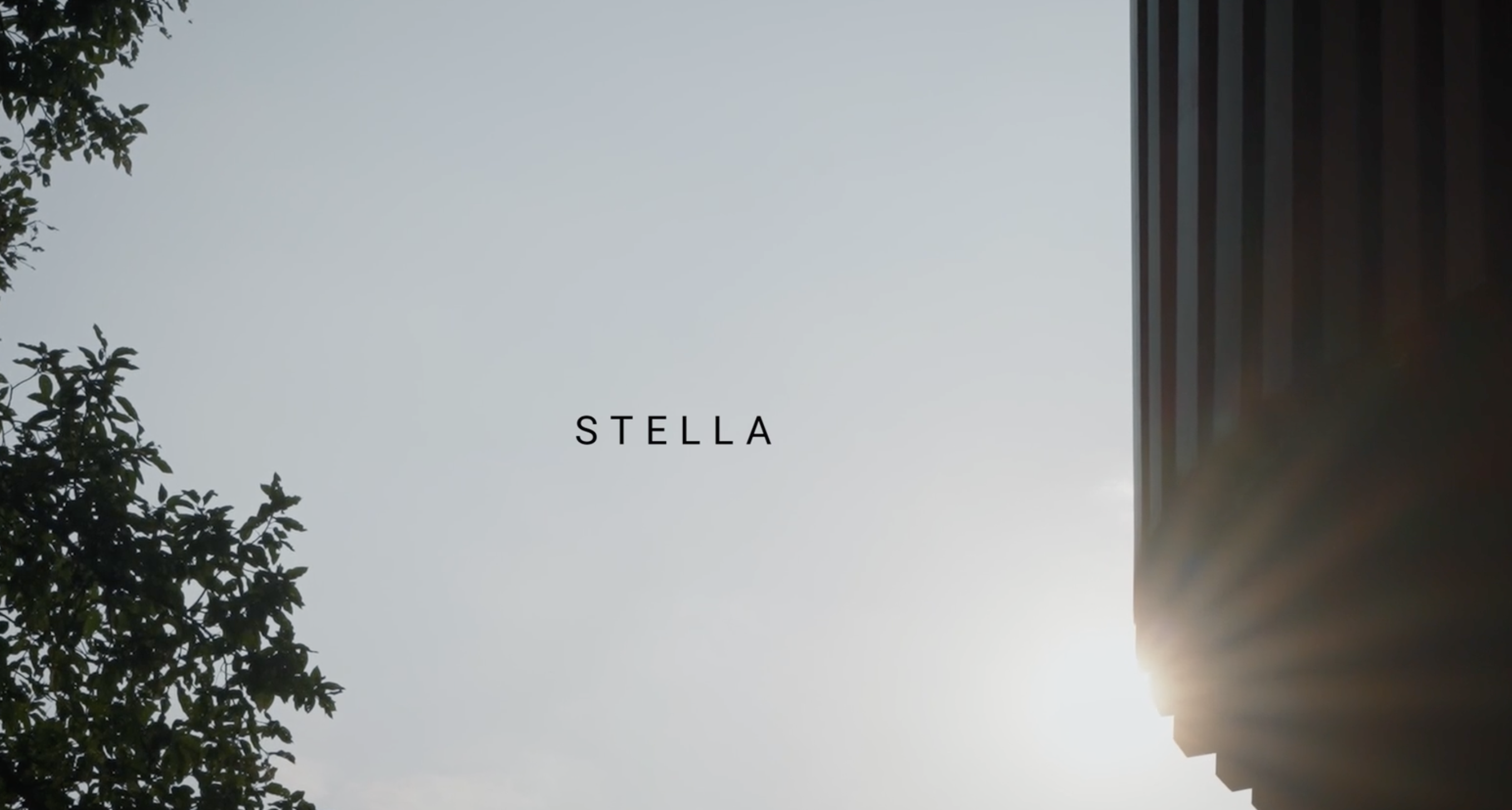 Stella video thumbnail